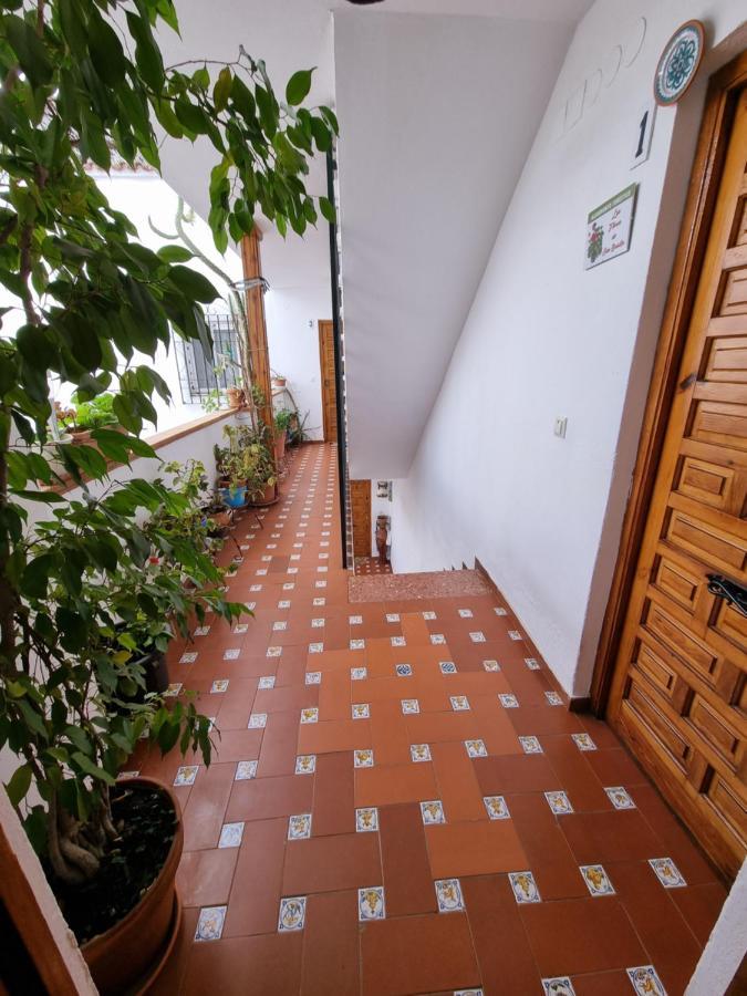 Apartamento Entre Patios San Basilio Apartman Córdoba Kültér fotó