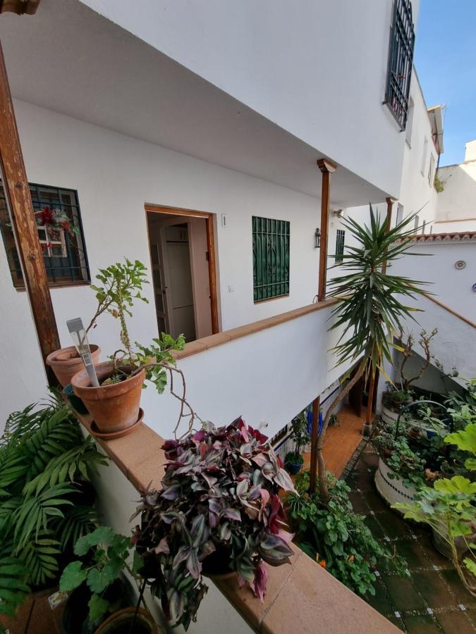 Apartamento Entre Patios San Basilio Apartman Córdoba Kültér fotó